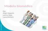 Modelo biomedico
