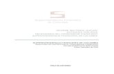 Informe transacciones primer semestre 2008