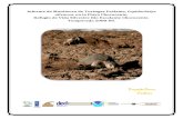 Informe de Monitoreo de Tortugas Paslama, Lepidochelys olivacea ...