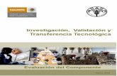 Investigación, Validación y Transferencia Tecnológica