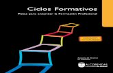 Guía de Ciclos Formativos. Pistas para entender la Formación ...