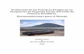 Evaluación de las Prácticas Pesqueras en Pesquerías de Pequeña ...