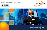 XBRL en SAP
