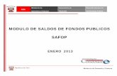 MODULO DE SALDOS DE FONDOS PUBLICOS SAFOP