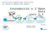 Curs 1. 1. Introducció a l'Open Data (24/01)