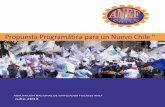 ANEF: PROPUESTA PROGRAMÁTICA PARA UN NUEVO CHILE. Julio_2013