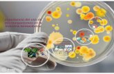 Importancia del uso de microorganismos en la industria farmacéutica