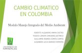 Presentacion colaborativa (cambio climatico) alternativas de mitigacion