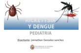 Rickettsia y dengue