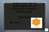 Apiterapia curso on line 2016 IMAVAT