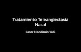 Tratamiento Teleangiectasias Nasales con Laser ND:YAG