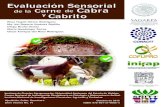 Evaluación Sensorial de la Carne de Cabra y Cabrito