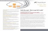 Virtual SmartCell Gateway (vSCG )