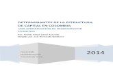 determinantes de la estructura de capital en colombia