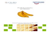 Perfil Económico del Banano