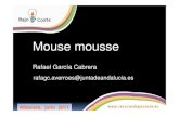 Mouse mousse