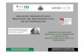 REUNION OBSERVATORIO REGIONAL DE SEGURIDAD VIAL DE ...