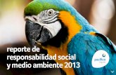 Reporte de Responsabilidad Social y Medio Ambiente 2013