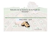 Estudio de la Cadena de la Papa en Ecuador FAO-ESA / CIP