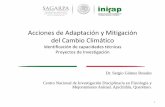 Proyectos de Investigación en CC (Dr. Sergio Gómez, INIFAP)