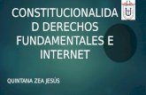 Constitucionalidad internet