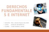 Derechos fundamentales e internet