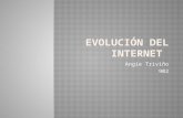 Evolución del internet