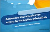 Aspecto introductorios sobre educación inclusiva