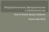 Staphylococcus, streptococcus y enterococcus