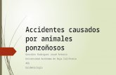 Accidentes causados por animales ponzoñosos