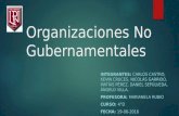 Organizaciones no gubernamentales en Chile