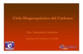 C l l C b C l l C b Ciclo Biogeoquímico del Carbono