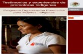 Testimonios y experiencias de promotoras indígenas del Programa ...