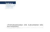 Tipologías en Honduras 2011