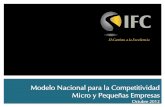 Modelo Nacional para la Competitividad en Micro y Pequeñas ...