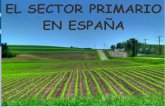 Tema 6.- El sector primario en España