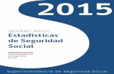 Informe Anual Estadísticas 2015