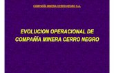 Evolucion de las operaciones de Minera Cerro Negro.pdf