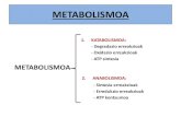 16. metabolismoa i