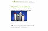 Reglamento Europeo GF 2015 - Guía práctica aplicación - CNI