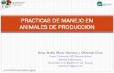 PRACTICAS DE MANEJO EN ANIMALES DE PRODUCCION