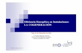 11:15 - Eficiencia Energética en Instalaciones: La Cogeneración