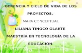 Gerencia y Ciclo de Vida de Los Proyectos Educativos