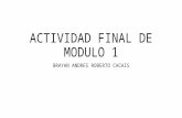 Actividad Final 1 modulo Universidad Santiago de Chile