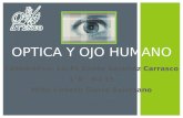optica & ojo humano