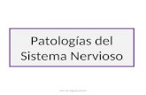 Patología del Sistema Nervioso 2015
