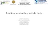 Amilina, amiloide y célula beta