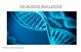Base química da vida v ácidos nucleicos