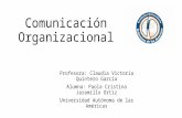 Comunicación organizacional Paola Jaramillo
