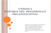 Unidad 2 Enfoque del Desarrollo Organización.